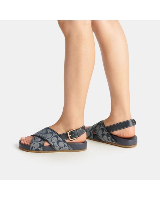 COACH Adora Chambray Sandal サンダル 24cm maxresdefault.jpg