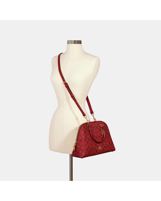 Quinn satchel in signature canvas new arrivals