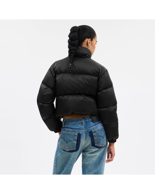 COACH Black Short Cropped Puffer Jacket