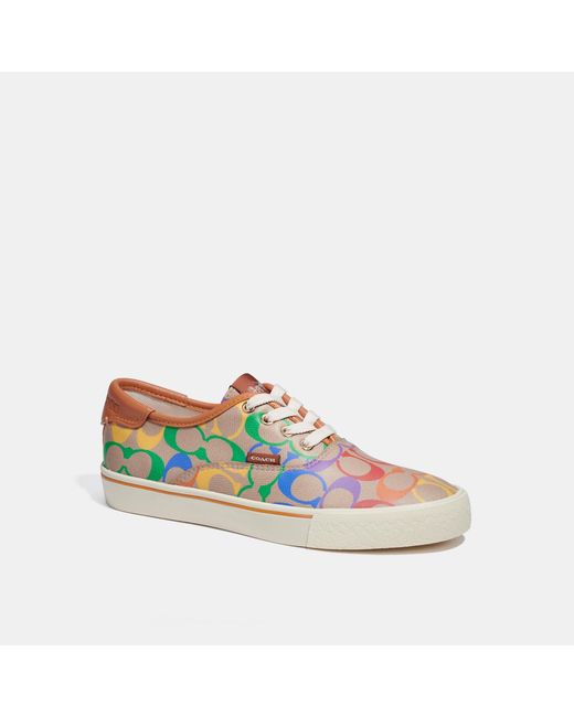 Coach Outlet Citysole Skate Sneaker In Rainbow Signature Canvas, Size7 in Blue Lyst