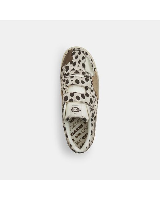 COACH Multicolor Double Strap Soho Sneaker With Clouds for men