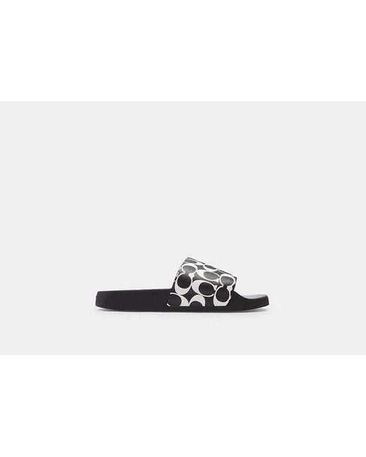 COACH Slide In Signature Canvas in Black for Men | Lyst