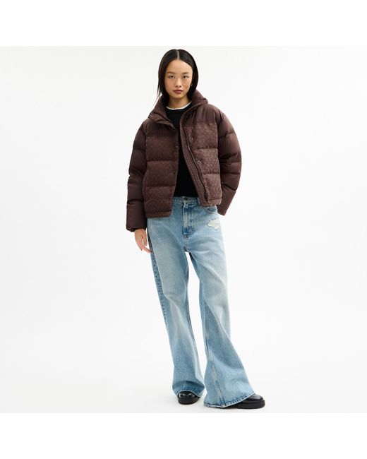 COACH Brown Signature Down Jacket