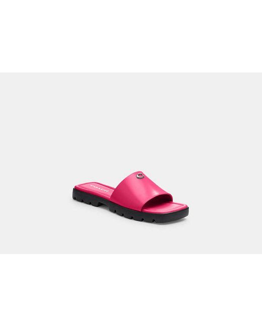 COACH Black Florence Sandal
