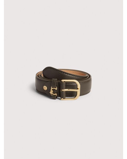 Coccinelle Multicolor Grained Leather Belt Metal Loop