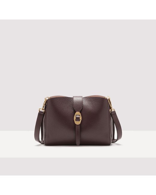 Coccinelle Brown New Alba Bags