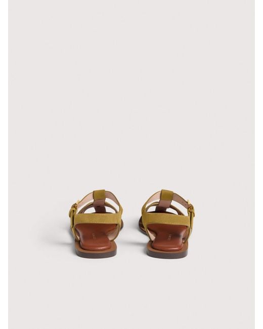 Coccinelle Multicolor Suede Sandals Sunup