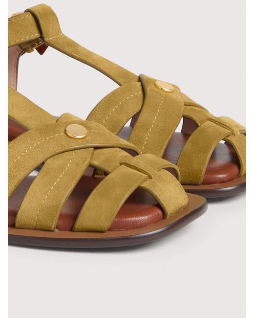 Coccinelle Multicolor Suede Sandals Sunup