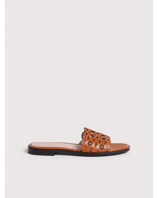 Coccinelle Multicolor Smooth Leather Low-Heeled Sandals Essential