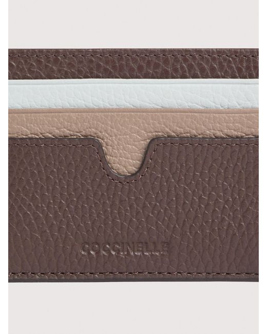Porta Carte di Coccinelle in Multicolor