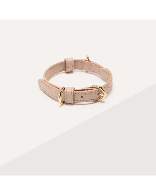 Coccinelle Pink Monogram Coated Canvas And Grained Leather Collar Pet Accessories