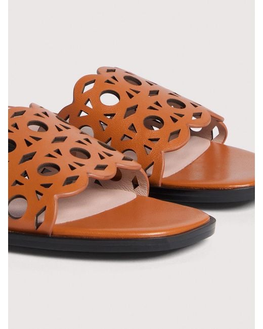 Coccinelle Multicolor Smooth Leather Low-Heeled Sandals Essential
