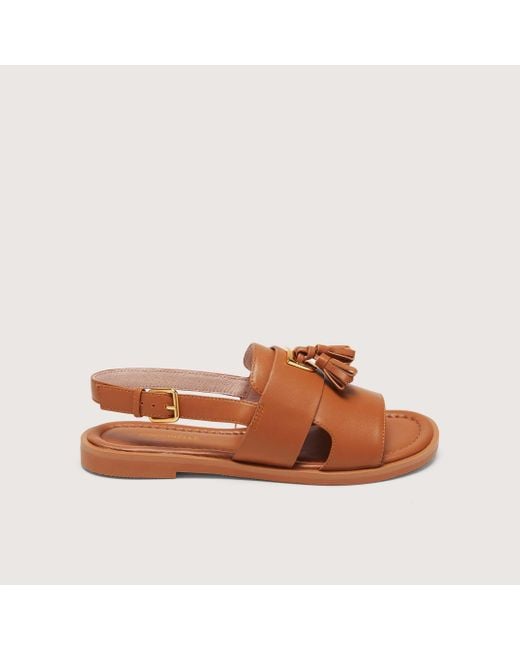Coccinelle Brown Smooth Leather Low-Heeled Sandals Beat Selleria