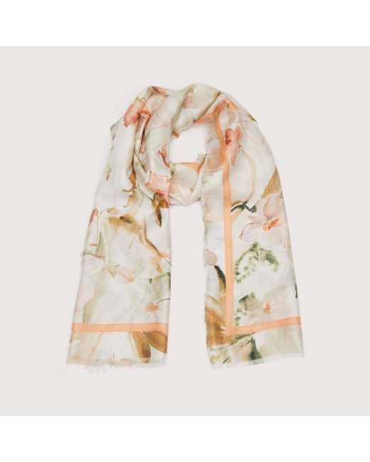Coccinelle Multicolor Silk And Viscose Stole Water Flowers