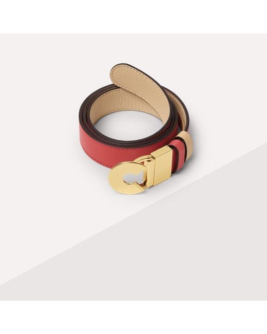 Coccinelle Multicolor Grained Leather Belt Logo C Reversible