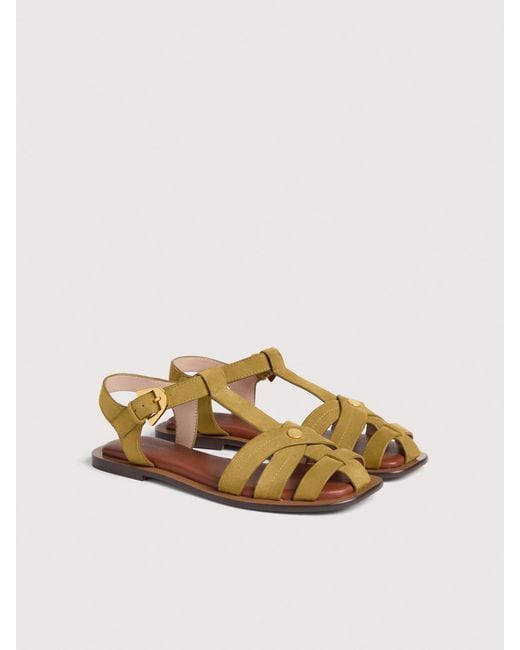 Coccinelle Multicolor Suede Sandals Sunup