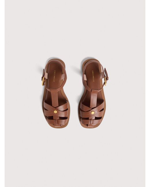 Coccinelle Brown Cowhide-Effect Smooth Leather Sandals Sunup