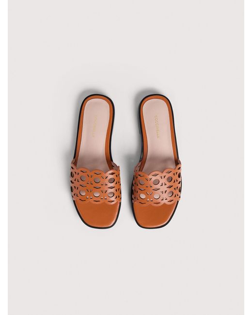 Coccinelle Multicolor Smooth Leather Low-Heeled Sandals Essential