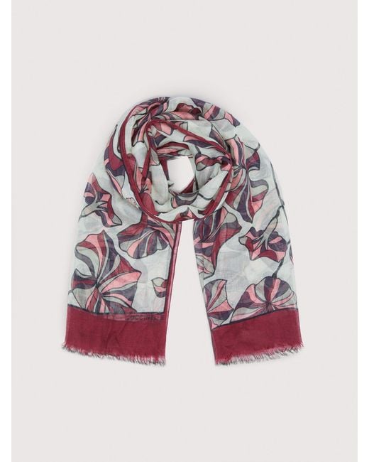 Coccinelle Pink Schultertuch Aus Seide Und Modal Multiflower