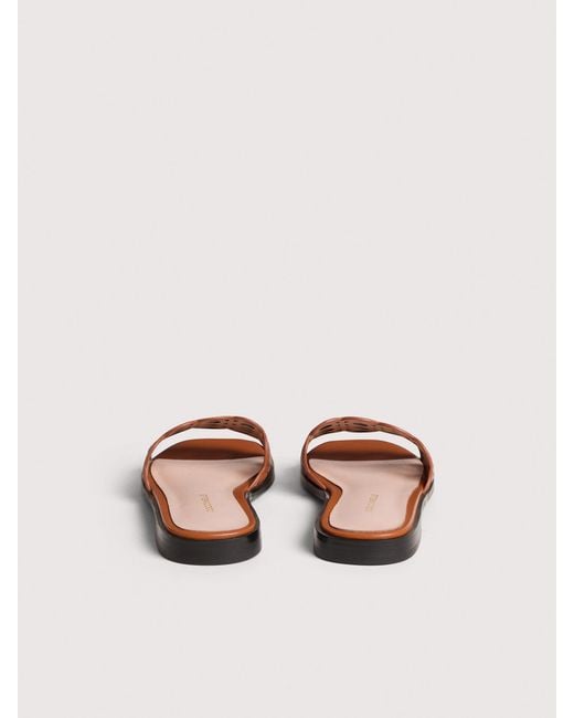 Coccinelle Multicolor Smooth Leather Low-Heeled Sandals Essential