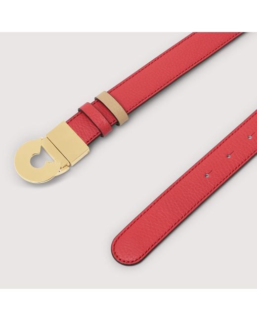 Coccinelle Multicolor Grained Leather Belt Logo C Reversible