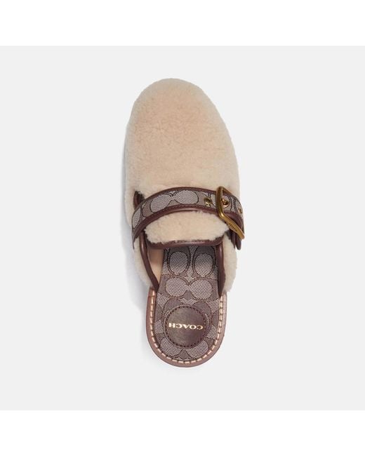 COACH Natural Dylan Shearling, Jacquard And Leather Clogs