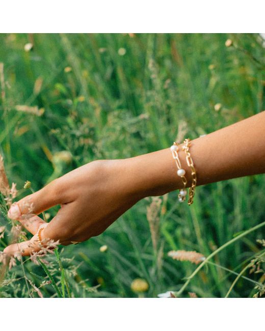 Rose Quartz Healing Stone Bobble Bracelet 18ct Gold Plate – Daisy London