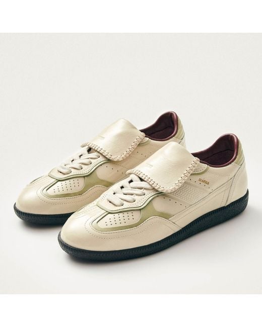 Alohas Brown Tb.490 Club Leather Trainers