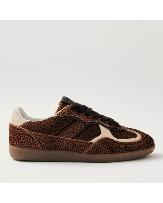 Alohas Brown Tb.490 Rife Calf-Hair Trainers