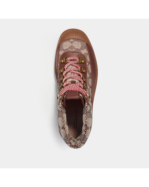 COACH Brown Talia Jacquard, Suede And Leather Lace-up Boots