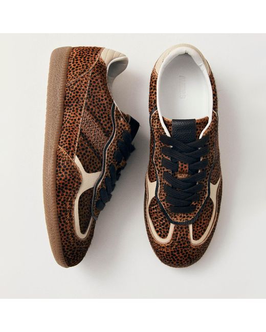Alohas Brown Tb.490 Rife Calf-Hair Trainers