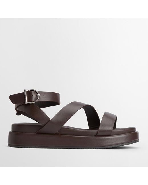 Barbour Brown Ivy Leather Sandals
