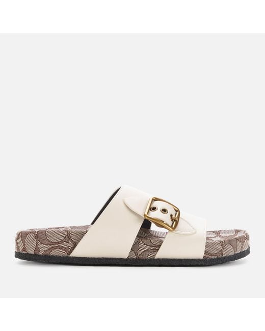 multicolor coach slides