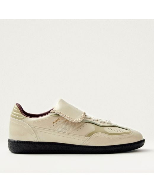 Alohas Brown Tb.490 Club Leather Trainers