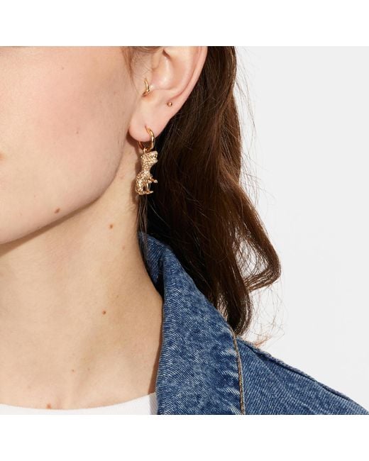COACH Rexy Crystal And Gold-tone Earrings | Lyst
