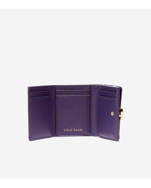 Cole Haan Blue Essential Wallet Gift Set