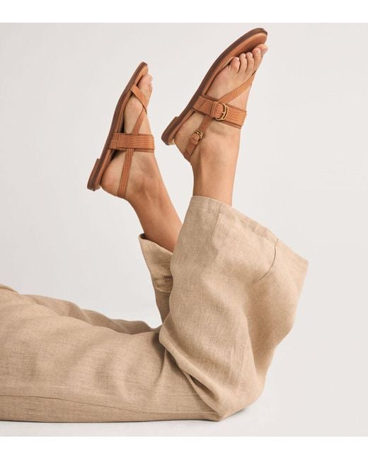 Cole Haan Brown Women's Anica Lux Buckle Sandals