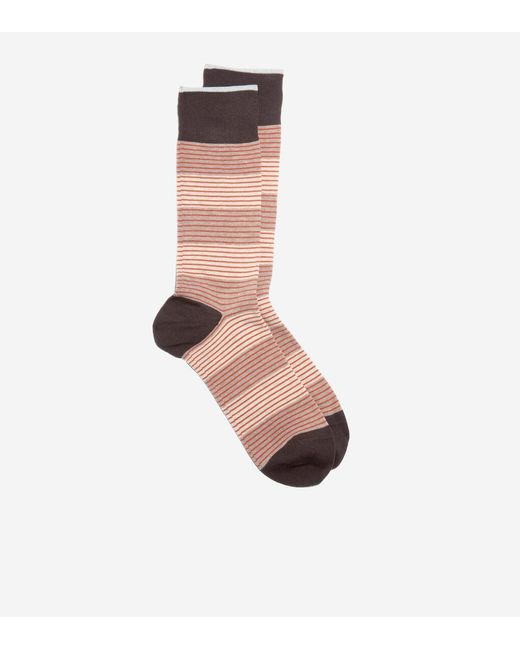 Cole Haan Brown Men's Multi Stripe Dress Crew Socks for men