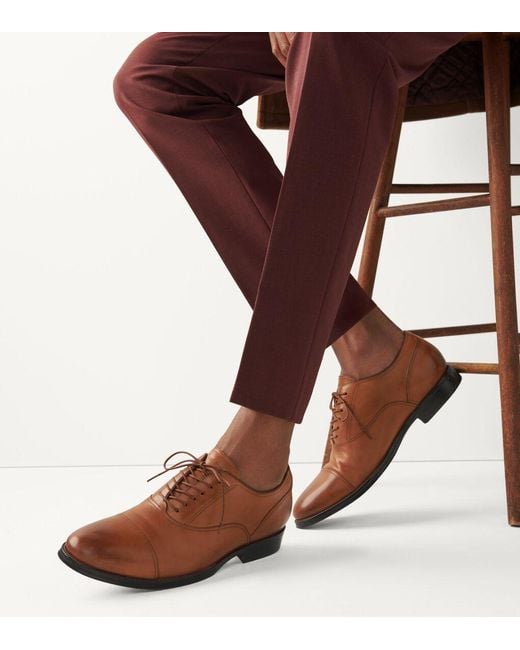cole haan warren cap toe oxford