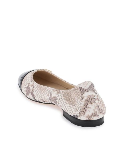 Tod's White Snake-printed Leather Ballet Flats