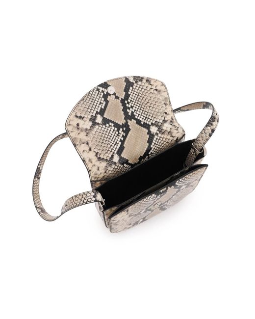 Jil Sander Gray Python Leather Coin Shoulder Bag With Textured Finish