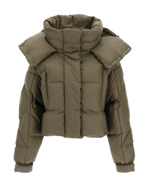 Bacon 'puffa Ring Wlt' Cropped Puffer Jacket With Snap-off Hood in ...
