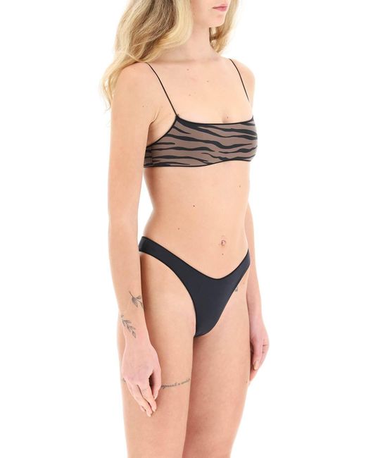 Tropic of C Brown 'The C' Bralette Bikini Top