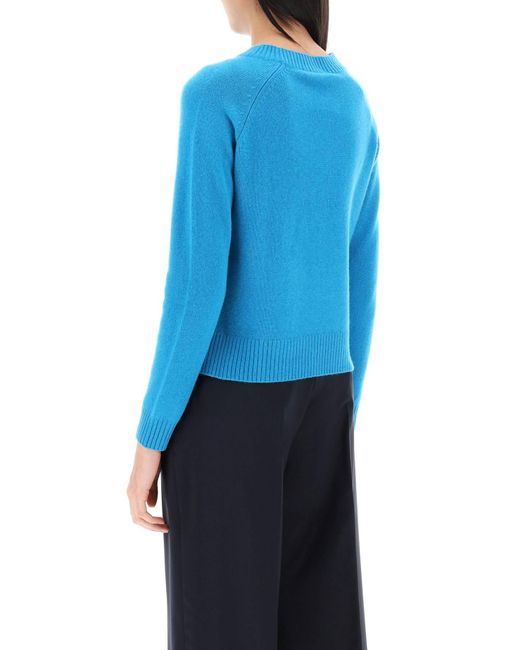 Pullover di Weekend by Maxmara in Blue