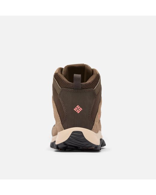 Columbia Brown Columbia