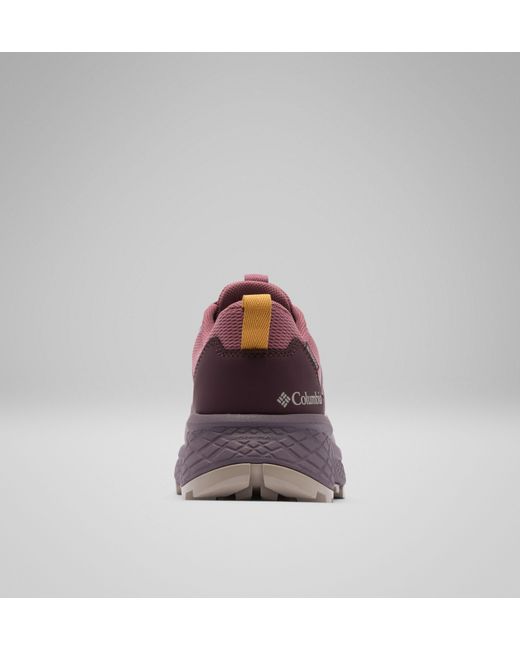 Columbia Purple Columbia