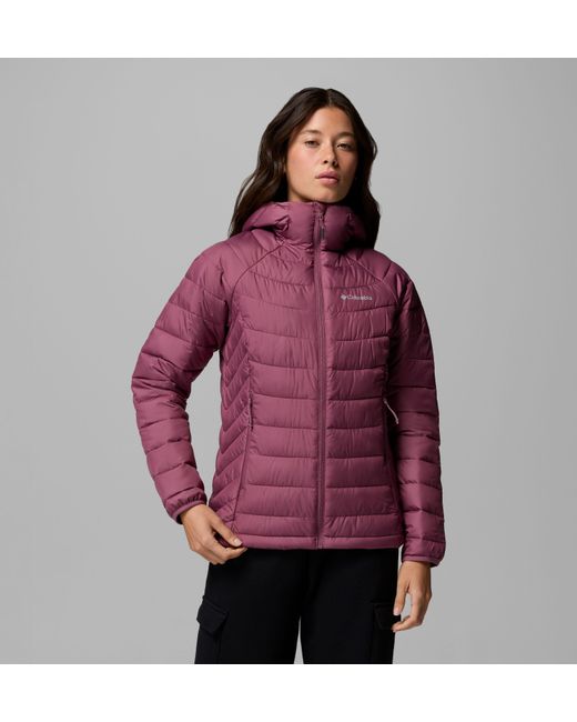 Columbia Purple Columbia