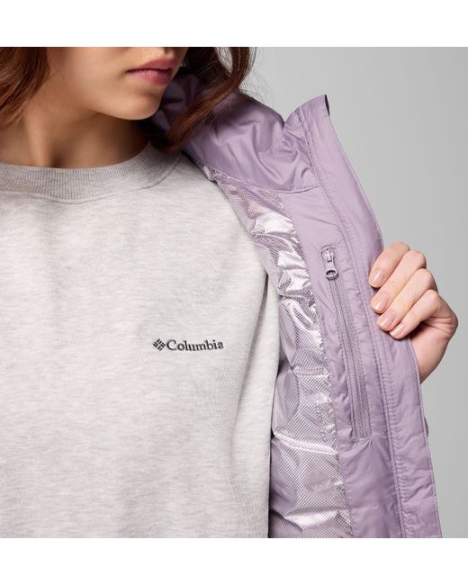 Columbia Purple Columbia