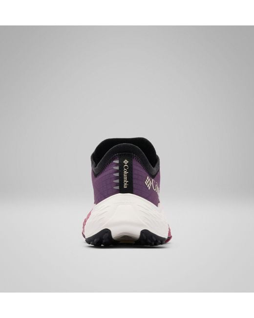 Columbia Purple Columbia
