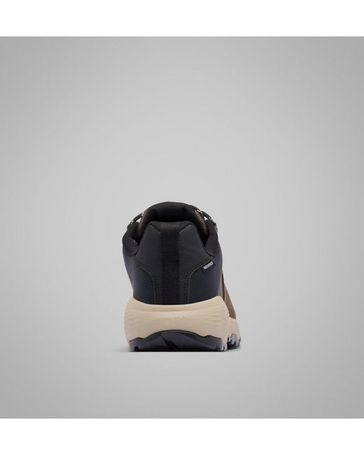 Columbia Brown Columbia for men